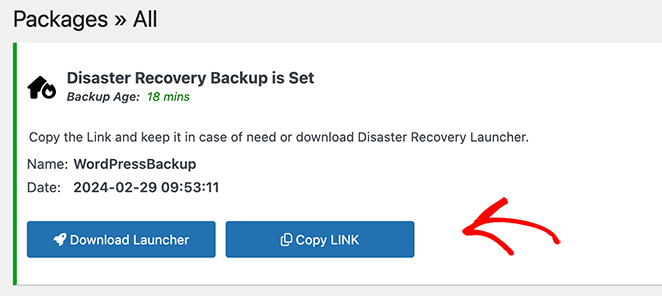 Backup recovery launcher
