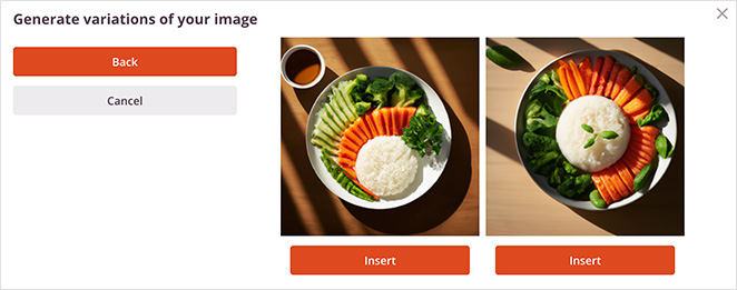 Alt text: A screenshot showing two variations of an image of a plate with food, presented on a 'Generate variations of your image' interface