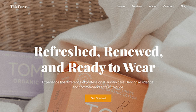 SeedProd laundry services website template kit