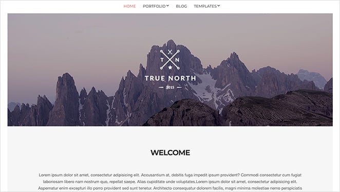 True North portfolio theme for WordPress