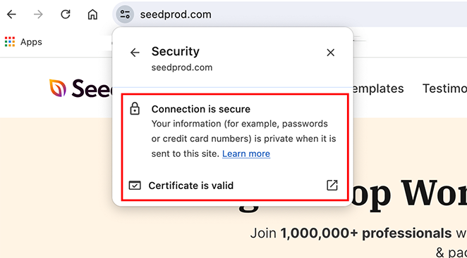 secure-ssl-example - SeedProd Padlock icon in browser address bar showing SSL is active on a secure WooCommerce site