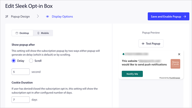 display-options - SeedProd Popup display rules in PushEngage
