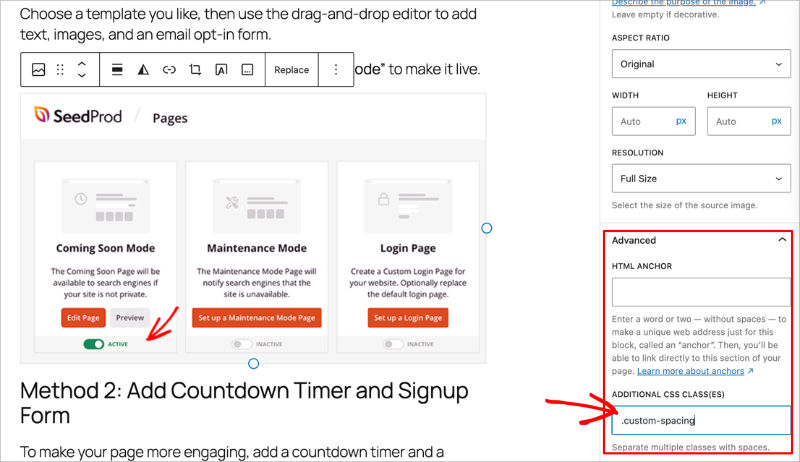 WordPress-block-css-classes - SeedProd