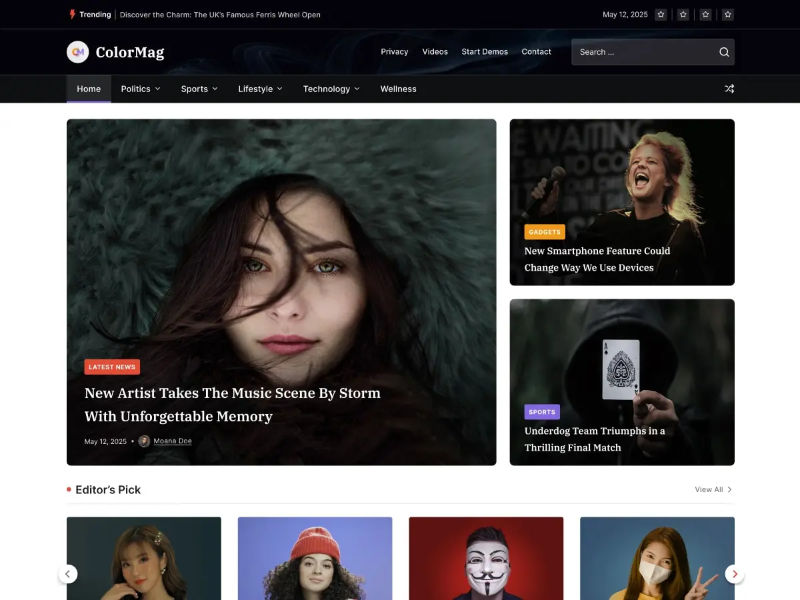 ColorMag free magazine WordPress theme homepage with widget-based sections and a news-style grid