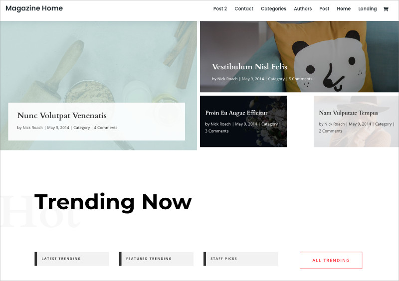 Divi theme magazine-style homepage layout with post grid sections and featured articles