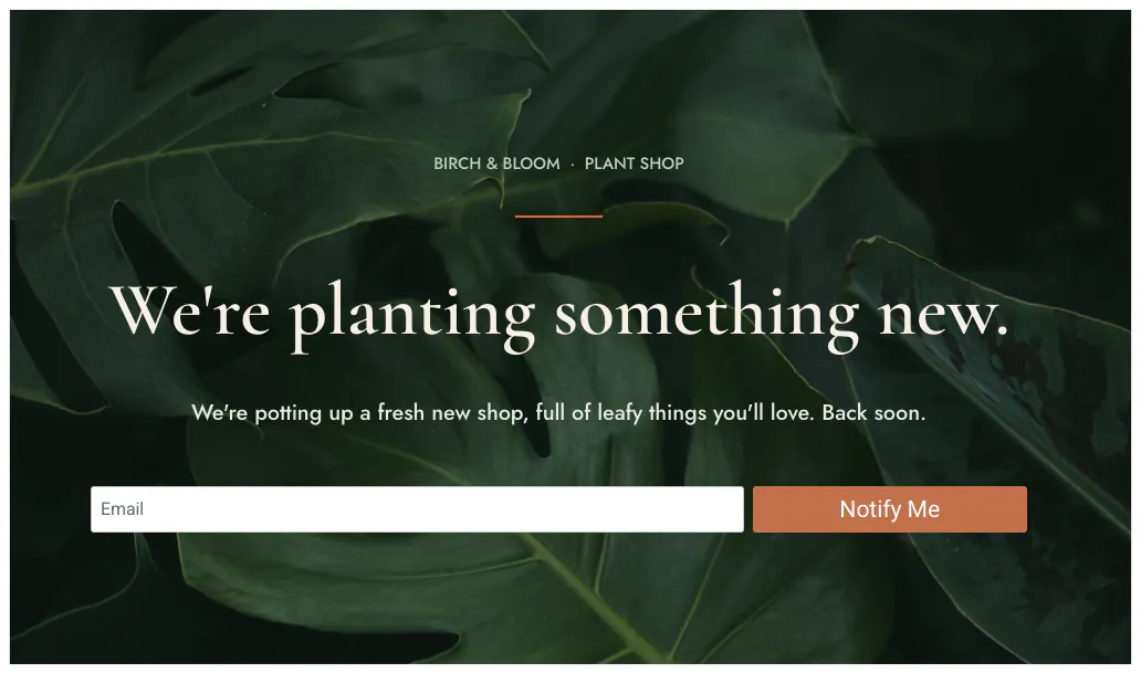 訪問者が見るSeedProdの「Coming Soon」ページ