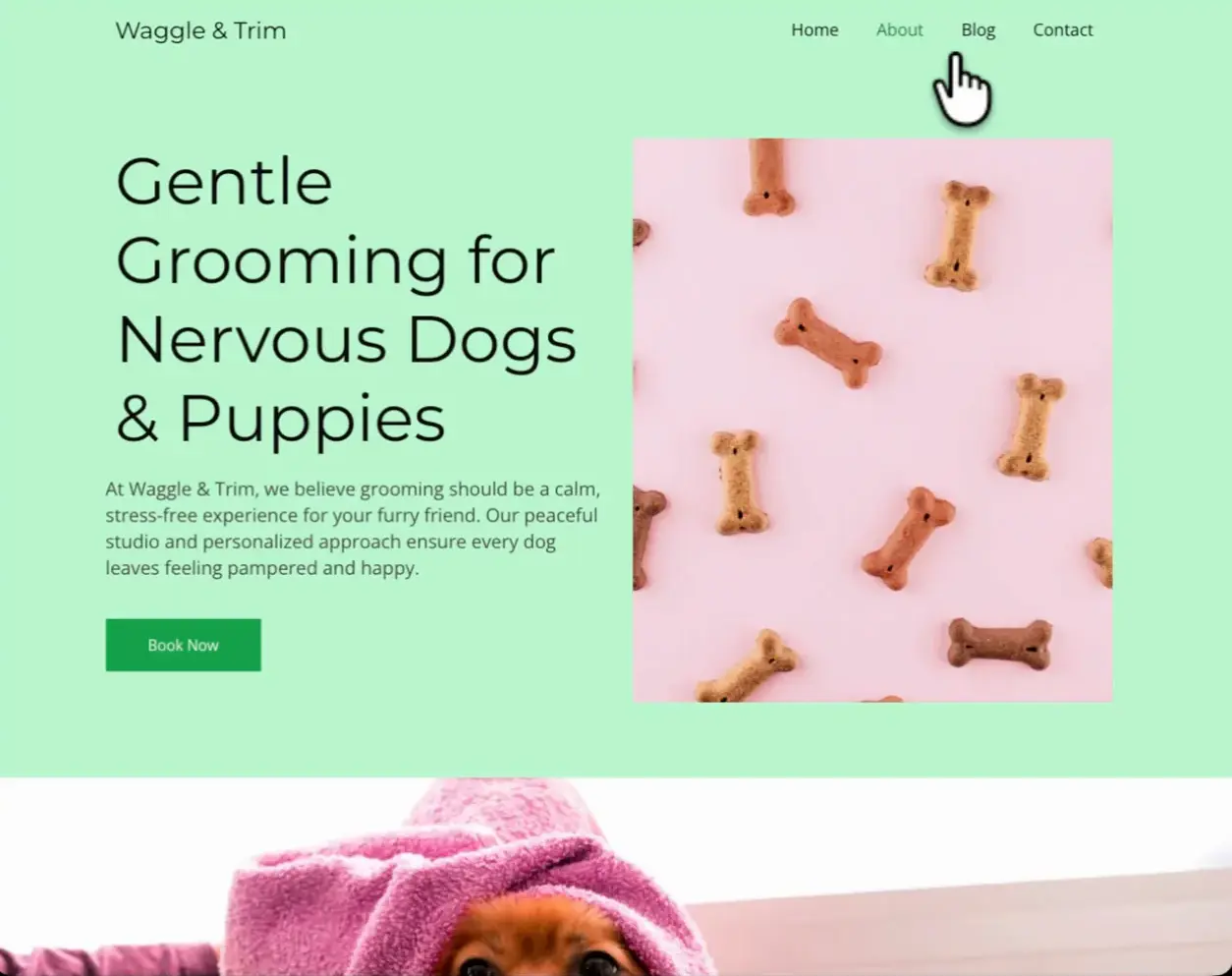 SeedProd about page stock photography - SeedProd SeedProd About page using real photography of dogs and groomers