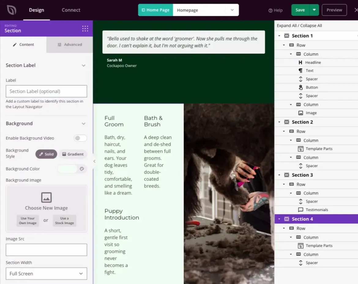 SeedProd generate AI text in block - SeedProd SeedProd offering AI generated text inside a single block